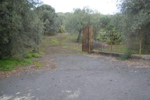 Terreno Agric. 8.600 mq Belpasso poss. acqua/luce