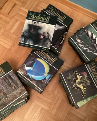 Gli animali, Grande inciclopedia illustrata 56 pez