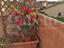 Immagine 26