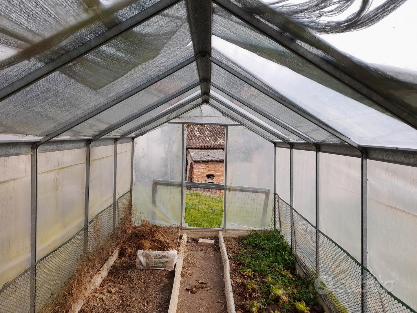 Serra per orto - Giardino e Fai da te In vendita a Treviso