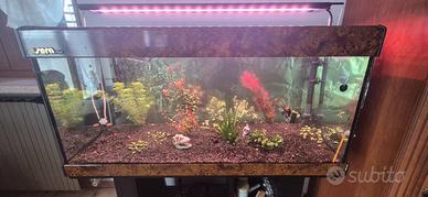 Acquario Sera 130 litri