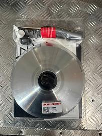 Variatore malossi tmax 500 mhr