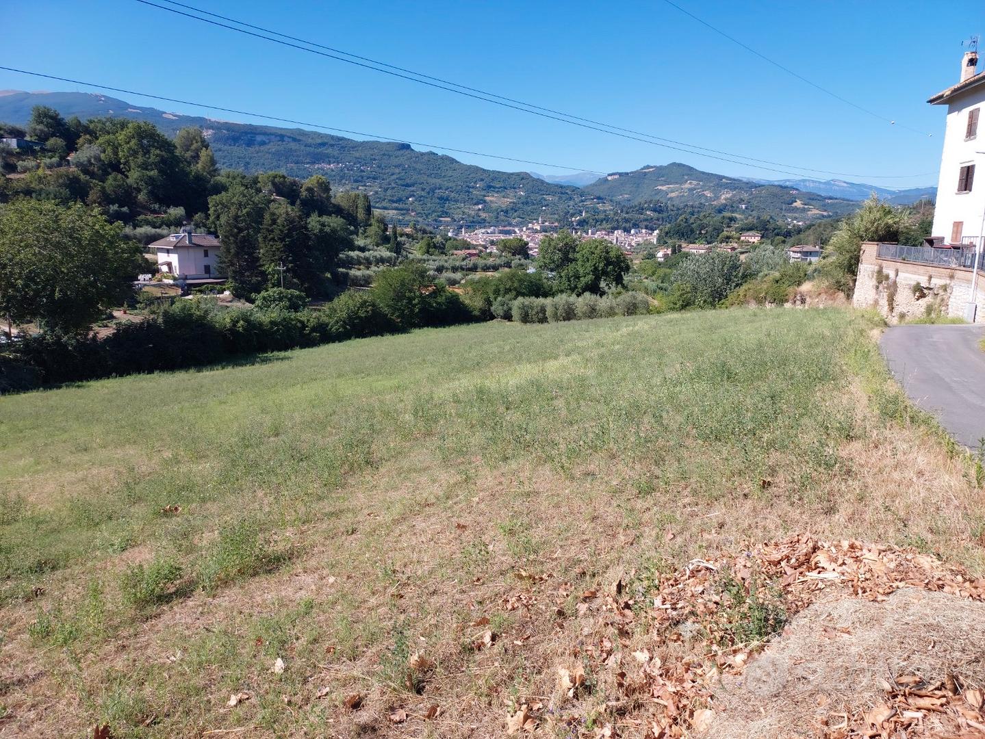 Terreno agricolo Ascoli Piceno - Vista 5