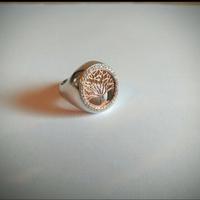 Anello Mediterraneo albero della vita