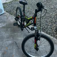 Bicicletta