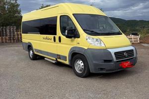 Scuolabus fiat ducato