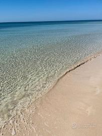 Casa vacanze s.pietro in bevagna