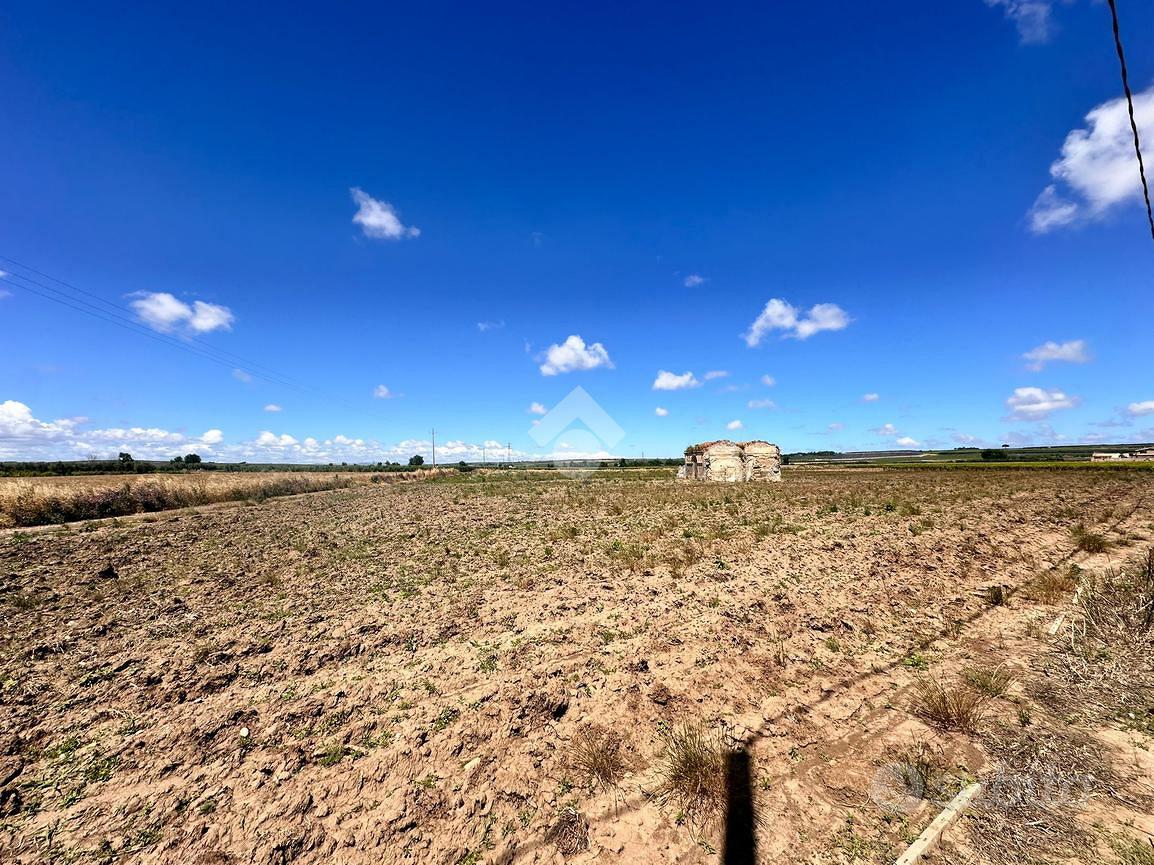 TER. AGRICOLO A SAN SEVERO - Vista 5