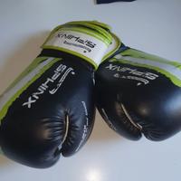 guantoni boxe 10oz sphinx