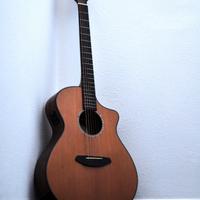 Breedlove Pursuit Concert