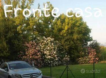 01/05/26 Zona STADIO Monolocale