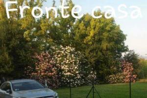 01/05/26 Zona STADIO Monolocale