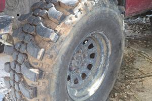 ziarelli extreme forest 35 12.50 16 