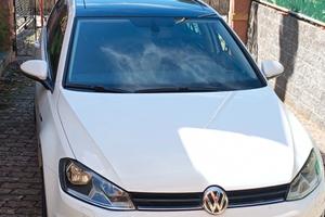 Volkswagen GOLF 1.6 TDI 110CV
