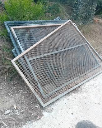 gabbia cattura cinghiale professionale 