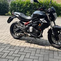 Benelli BN 302 - 2016
