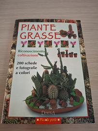 Piante grasse riconoscimento e coltivazione 
