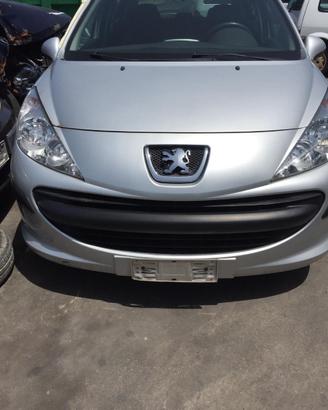 Ricambi Peugeot 207 Diesel e Benzina