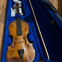 Violino