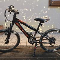 bicicletta bambino 20" 