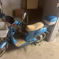 Bici elettrica