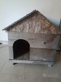 cuccia cane