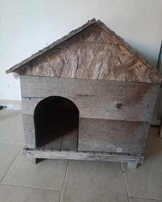 cuccia cane