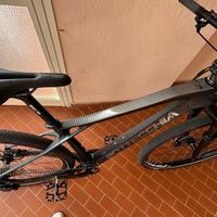 MTB Bottecchia Ortles 297+ carbonio