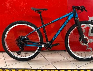 Mtb in carbonio per bambino