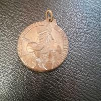 Medaglia militare alpini