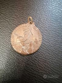 Medaglia militare alpini