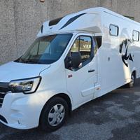 Van trasporto 2 cavalli Renault Master 180 HP