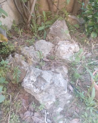 Arredo giardino