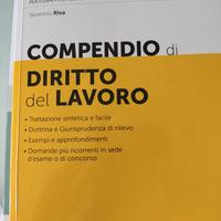 compendio diritto lavoro 