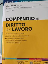 compendio diritto lavoro 