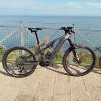 e-bike Flyer uproc  full carbon 