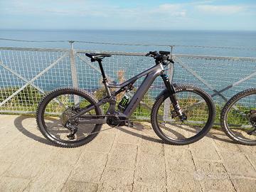 e-bike Flyer uproc  full carbon 