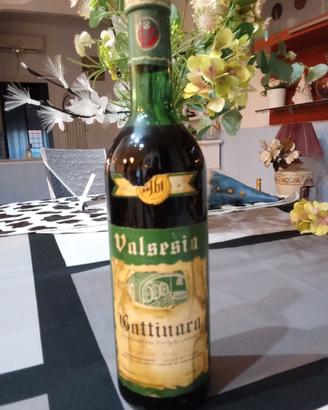 Vino collezione