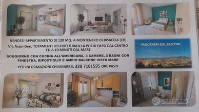 Appartamento Montenero di Bisaccia (CB)