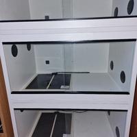 mobile rettili 