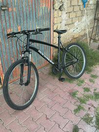 RockrIder st50