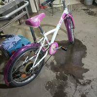 Mountain bike numero 20