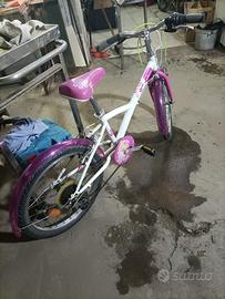 Mountain bike numero 20