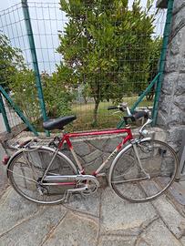 Bicicletta Viner da uomo