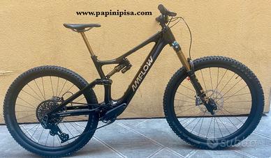 AMFLOW PL CARBON PRO 2025