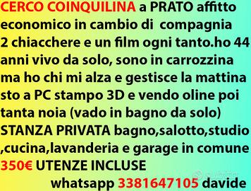 Coinquilina stanza privata in quadrilocale