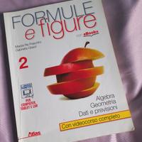 Formule e figure 2