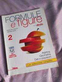 Formule e figure 2