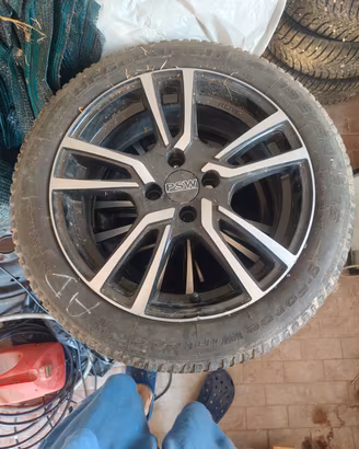 Cerchi PSW R16 