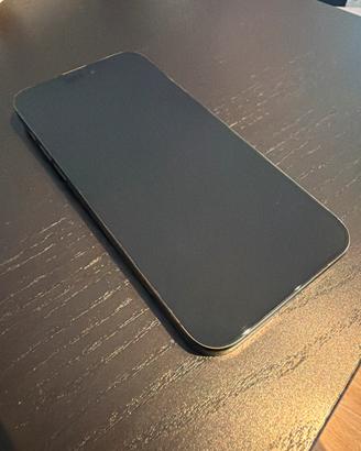 iPhone 15 Pro Max 256gb Colore Nero